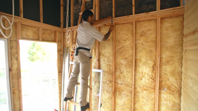 Best Radiant Barrier Insulation  in Ely, MN